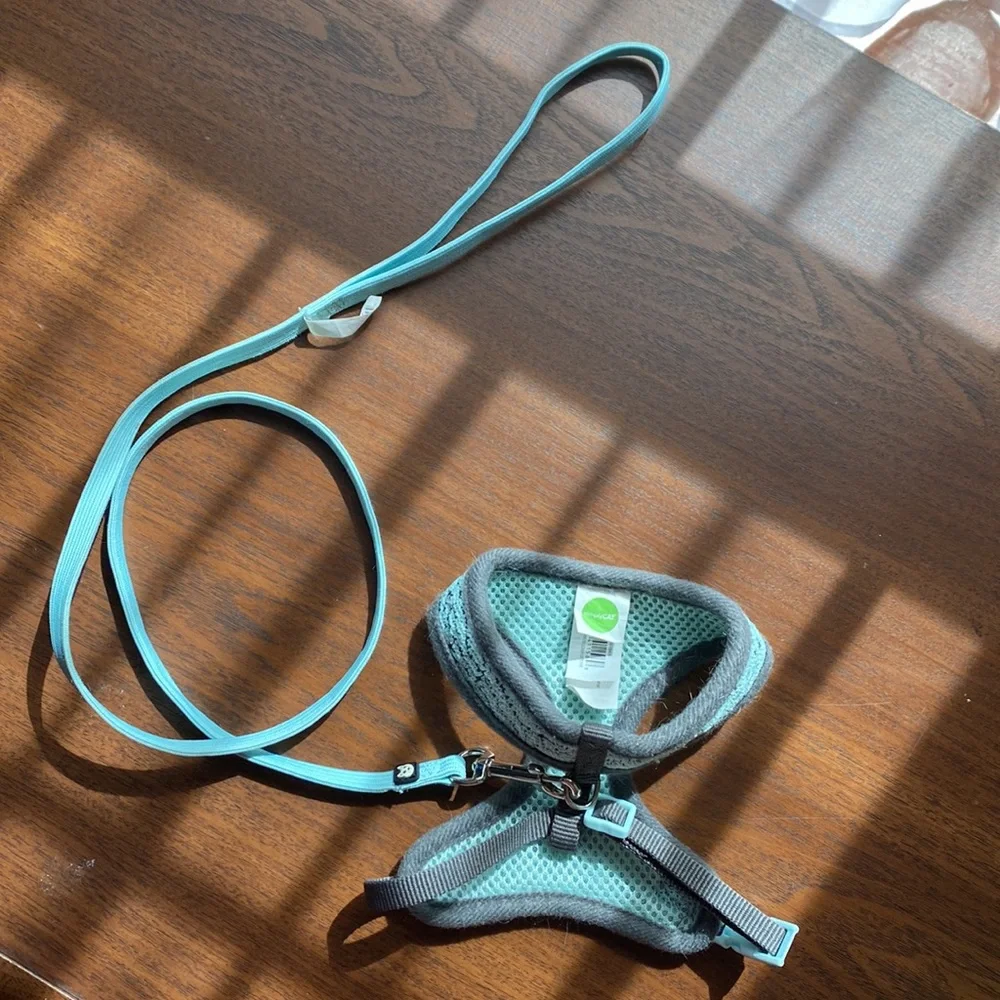 Cat harness and leash